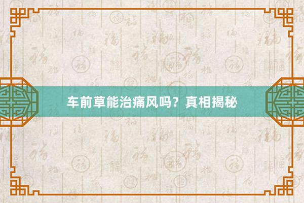 车前草能治痛风吗？真相揭秘