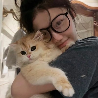 警视厅零系：生活安全科万能咨询室第五季